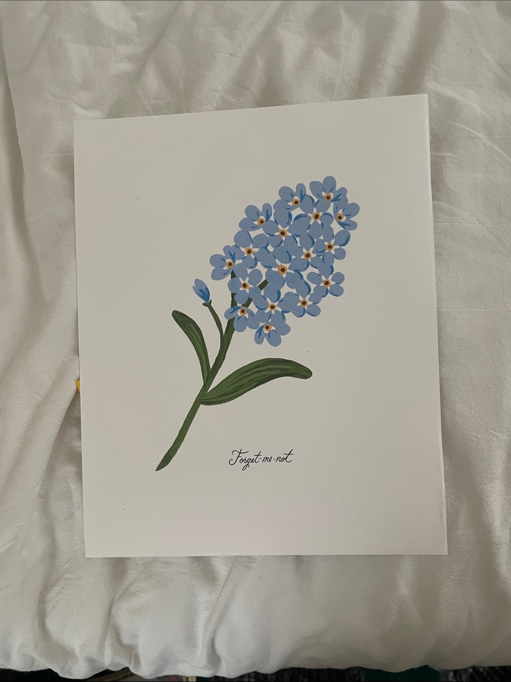 Rifle Paper Co Print